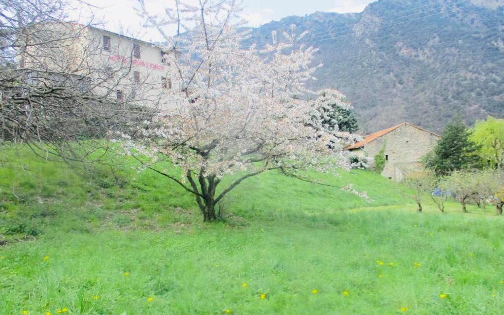 La Pommeraie Casteil ภายนอก รูปภาพ